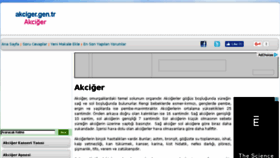 What Akciger.gen.tr website looked like in 2017 (7 years ago)