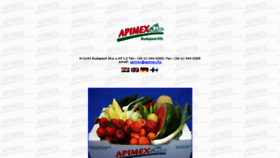 What Apimex.hu website looked like in 2017 (7 years ago)