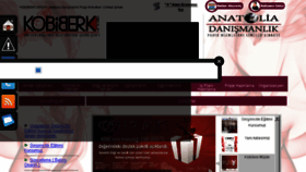 What Anatoliadanismanlik.com website looked like in 2017 (7 years ago)