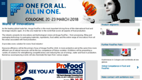 What Anugafoodtec.com website looked like in 2017 (7 years ago)