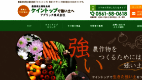 What Agric.jp website looked like in 2017 (7 years ago)