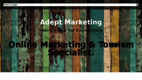 What Adeptmarketing.co.nz website looked like in 2017 (6 years ago)