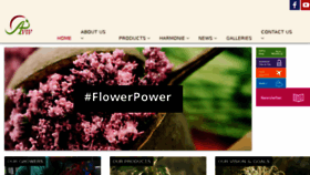 What Aviv-flower.co.il website looked like in 2017 (6 years ago)