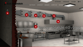 What Alizemhs.com website looked like in 2017 (8 years ago)