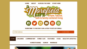 What Amorefieldlife.com website looked like in 2017 (6 years ago)