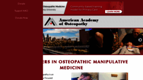 What Academyofosteopathy.org website looked like in 2017 (6 years ago)