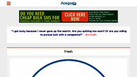 What Acegoals.com website looked like in 2017 (6 years ago)