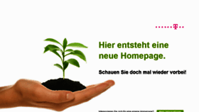 What Augustin-service.de website looked like in 2017 (6 years ago)
