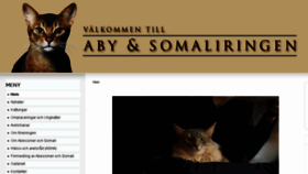 What Abysomali.se website looked like in 2017 (6 years ago)