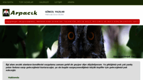 What Arpacik.net website looked like in 2017 (6 years ago)