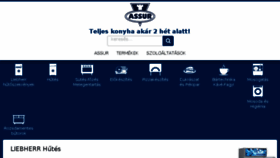 What Assur.hu website looked like in 2017 (6 years ago)