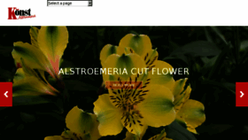 What Alstroemeria.com website looked like in 2017 (6 years ago)