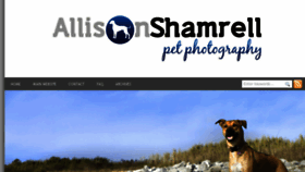 What Allisonshamrellblog.com website looked like in 2017 (6 years ago)