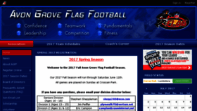 What Agflag.com website looked like in 2017 (6 years ago)