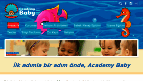 What Academybaby.com website looked like in 2017 (6 years ago)