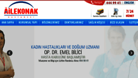 What Ailekonak.com website looked like in 2017 (6 years ago)