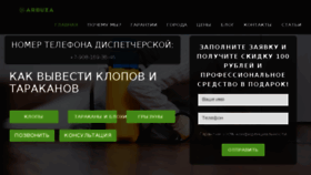 What Arbuza.ru website looked like in 2017 (6 years ago)