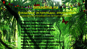 What Amadina.ru website looked like in 2017 (6 years ago)