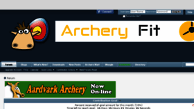 What Archeryinterchange.com website looked like in 2017 (6 years ago)