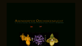 What Asendorfer-orchideenzucht.com website looked like in 2017 (6 years ago)