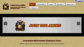 What Amieu.net website looked like in 2017 (7 years ago)