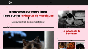 What Akoitique.fr website looked like in 2017 (6 years ago)