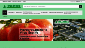What Apicepiante.eu website looked like in 2017 (9 years ago)