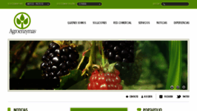 What Agroenzymas.com.mx website looked like in 2017 (6 years ago)