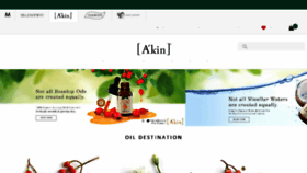What Akin.com.au website looked like in 2017 (6 years ago)