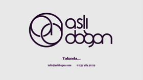 What Aslidogan.com website looked like in 2017 (6 years ago)