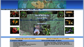 What Amint.it website looked like in 2017 (7 years ago)