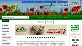 What Aleleki.pl website looked like in 2017 (6 years ago)
