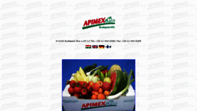 What Apimex.hu website looked like in 2018 (6 years ago)