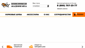 What Akademiameha.ru website looked like in 2018 (6 years ago)