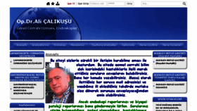 What Alicalikusu.com website looked like in 2018 (6 years ago)
