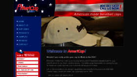 What Americap.com website looked like in 2018 (6 years ago)