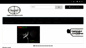 What Aggressiveguns.com website looked like in 2018 (6 years ago)