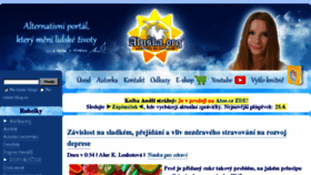 What Aluska.org website looked like in 2018 (6 years ago)