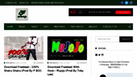 What Afronaija.com website looked like in 2018 (5 years ago)
