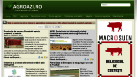 What Agroazi.ro website looked like in 2018 (6 years ago)