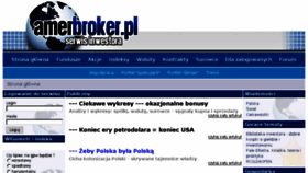 What Amerbroker.pl website looked like in 2018 (5 years ago)