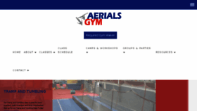 What Aerialsgymgr.com website looked like in 2018 (5 years ago)