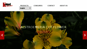 What Alstroemeria.com website looked like in 2018 (5 years ago)