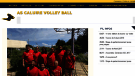 What Ascaluirevolley.fr website looked like in 2018 (5 years ago)