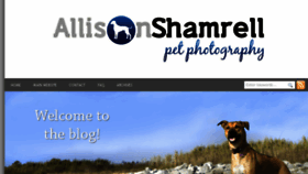 What Allisonshamrellblog.com website looked like in 2018 (5 years ago)
