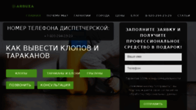 What Arbuza.ru website looked like in 2018 (5 years ago)