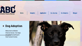 What Abetterchancerescue.org website looked like in 2018 (5 years ago)