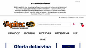 What Apitec.pl website looked like in 2018 (5 years ago)