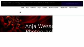 What Anjawessels.photography website looked like in 2018 (5 years ago)