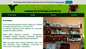 What Amicus-chelm.pl website looked like in 2018 (5 years ago)